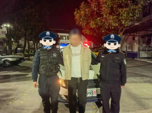丽江公安开展岁末年初打击突出违法犯罪专项行动成效显著.png