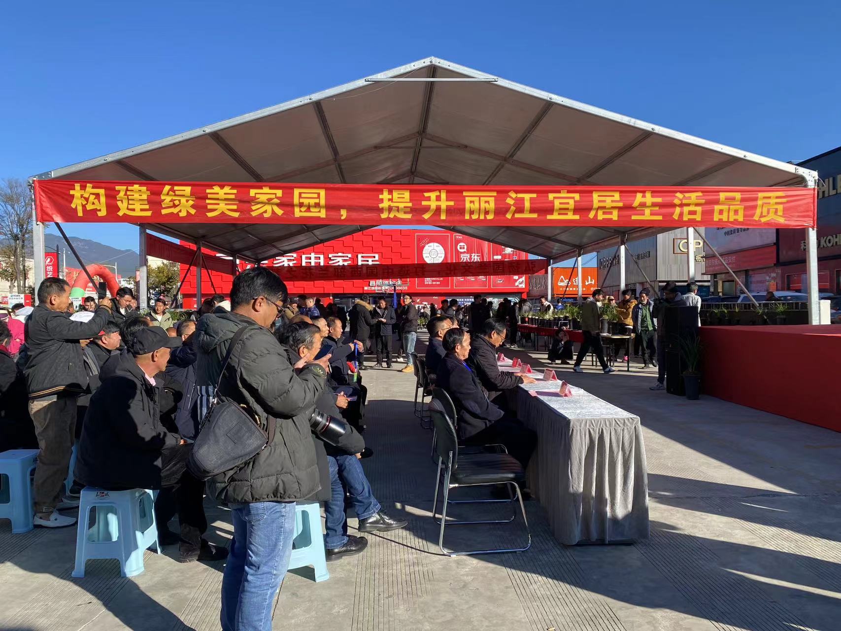 丽江兰花街子天开街  每月逢八来赏兰 (7).jpg