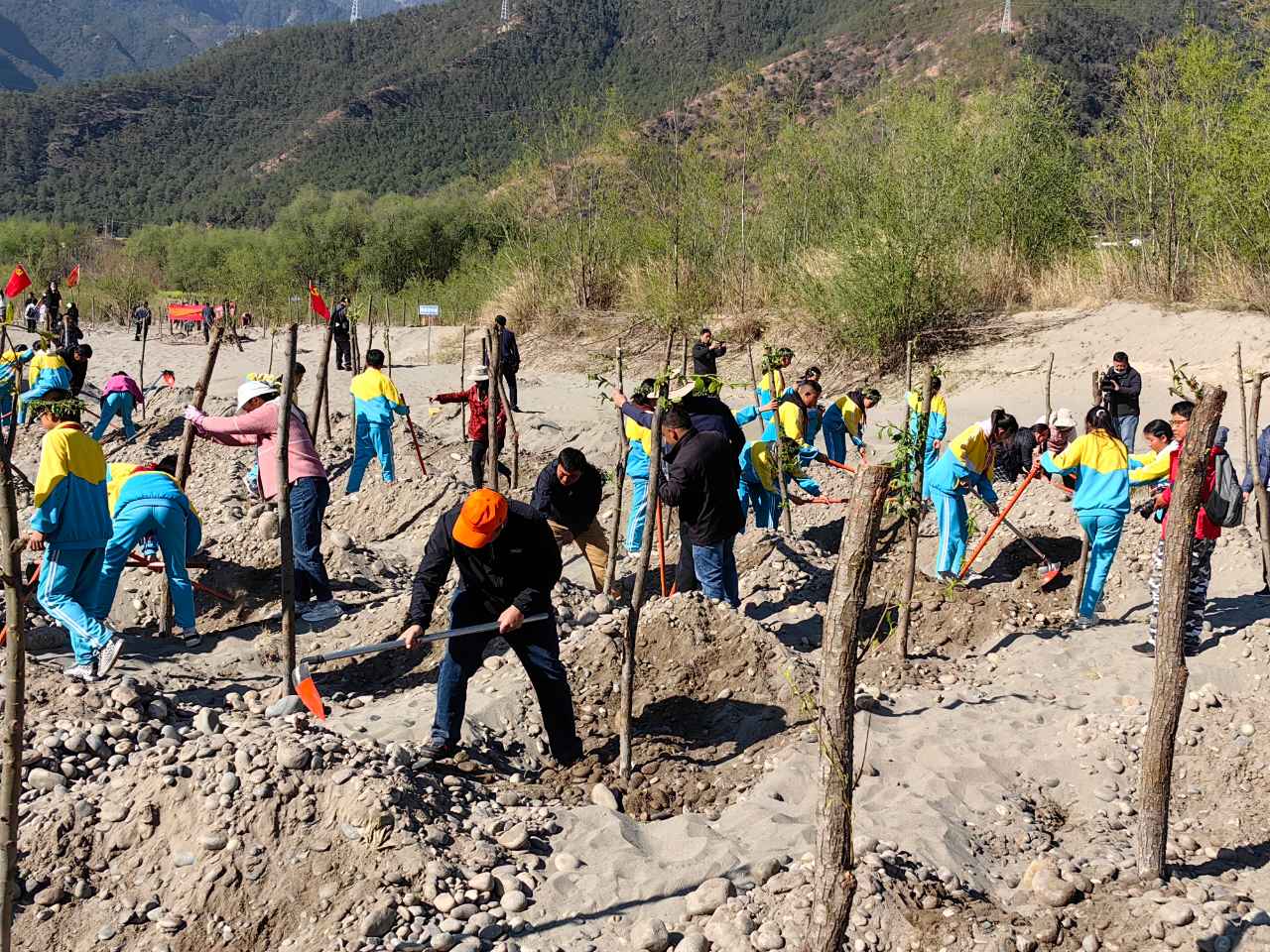 我在金沙江边种下一棵树 玉龙县举行两千人义务植树活动2.jpg
