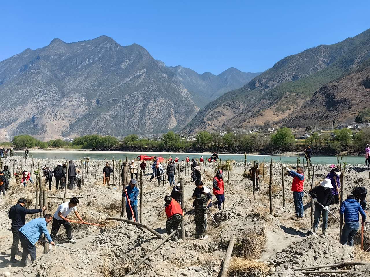 我在金沙江边种下一棵树 玉龙县举行两千人义务植树活动5.jpg