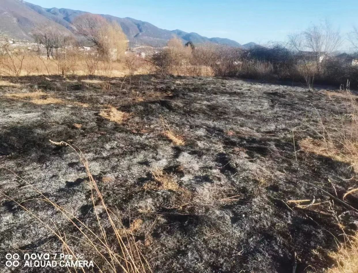 玉龙县一村民违规野外用火被罚.jpg