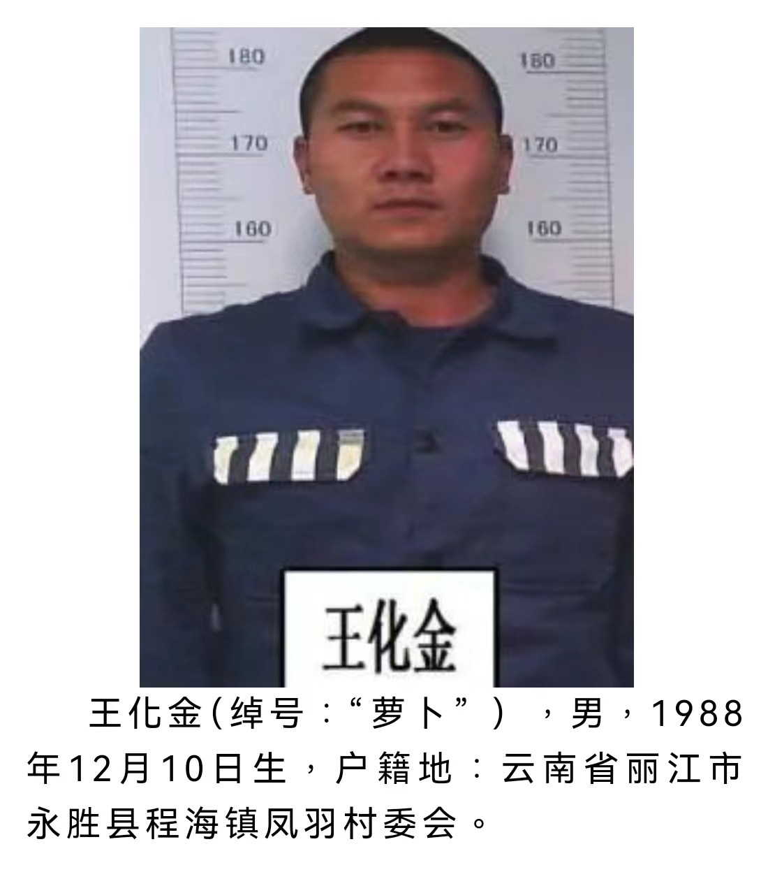 丽江警方公开征集该犯罪团伙犯罪线索 被欺负过的速来举报 (6).jpg