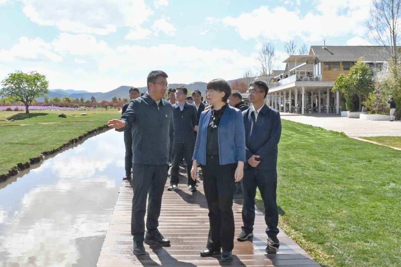 浦虹李刚召开丽江文旅2024年3月调度会01.jpg