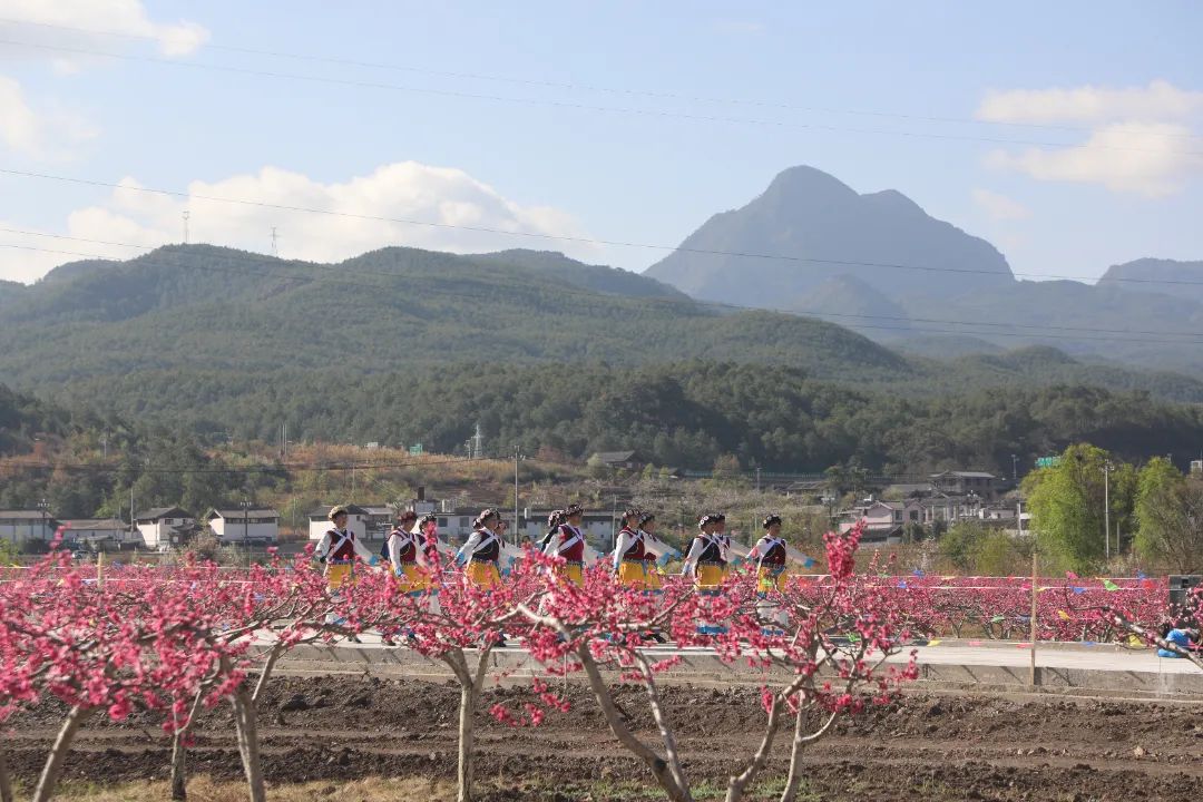 拉市镇第三届桃花节盛大开幕02.jpg