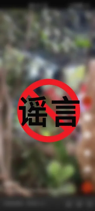丽江公安发布一季度打击整治网络谣言典型案例05.webp.jpg