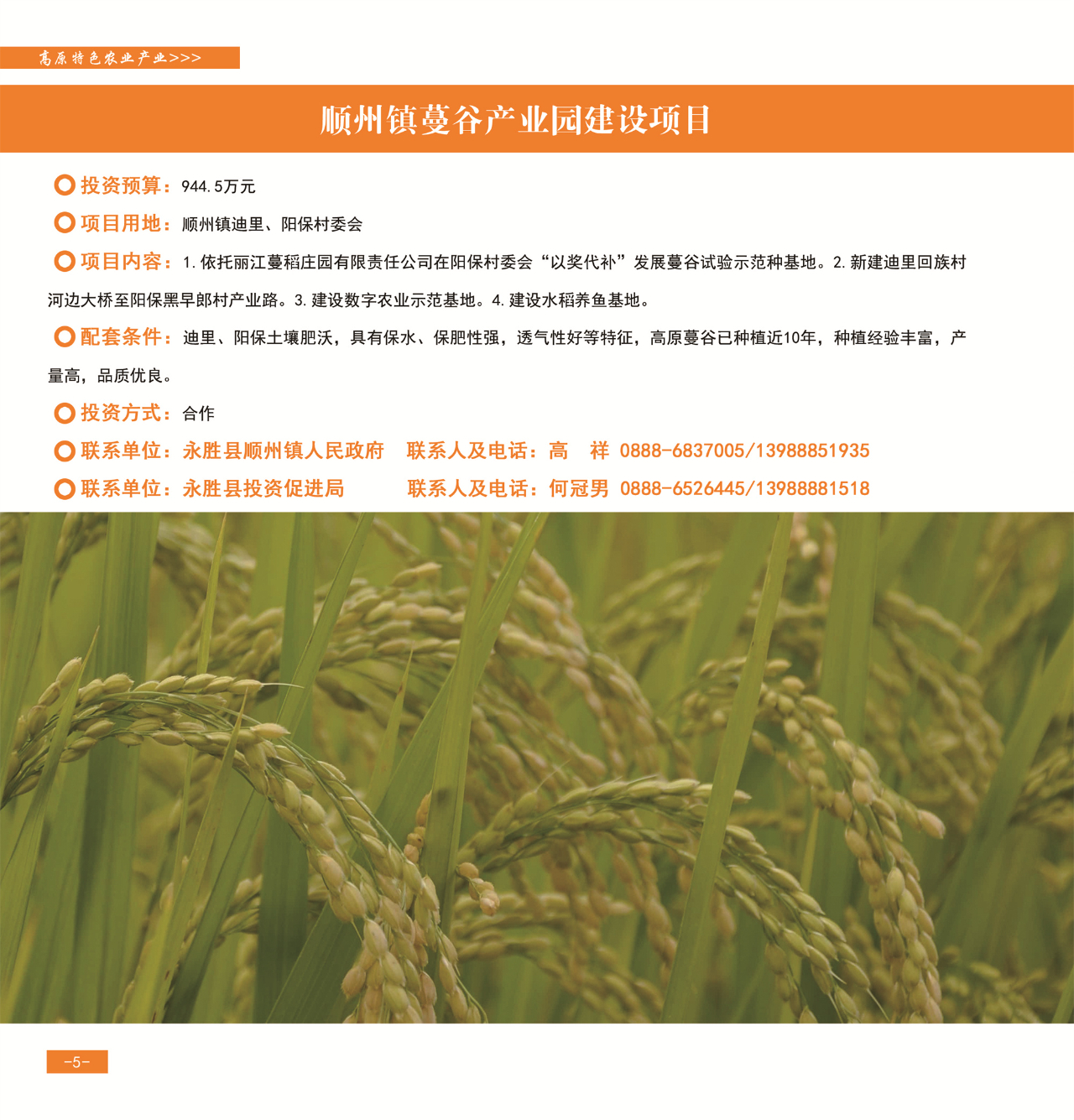 42个重点项目发布，“活力永胜”等您来！08.jpg