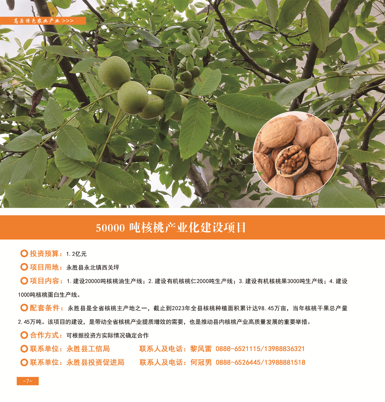 42个重点项目发布，“活力永胜”等您来！10.jpg