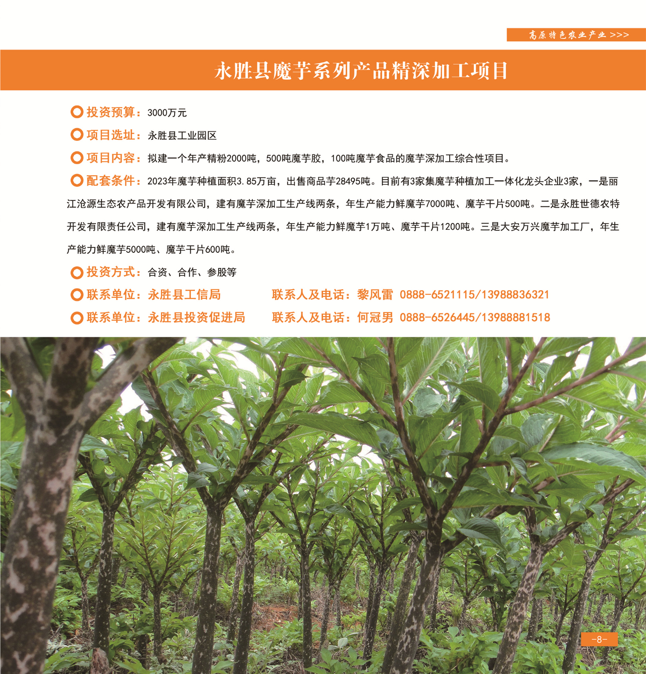 42个重点项目发布，“活力永胜”等您来！11.jpg