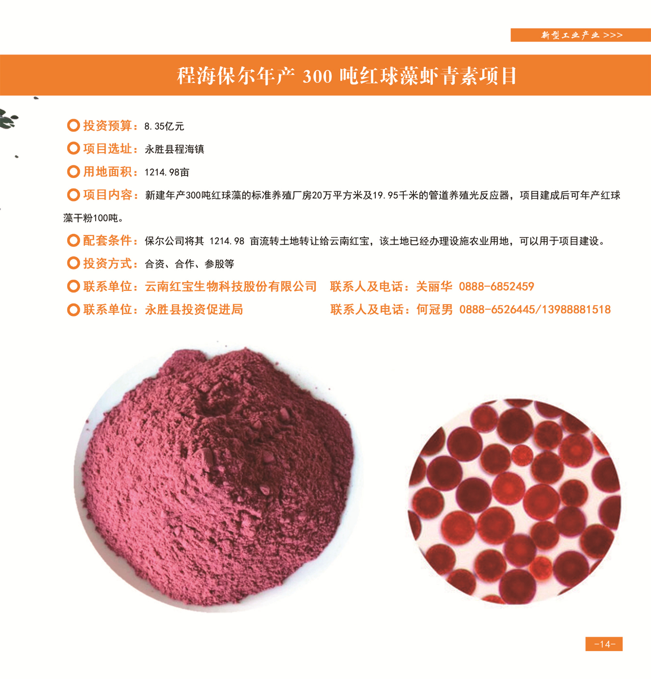 42个重点项目发布，“活力永胜”等您来！17.jpg