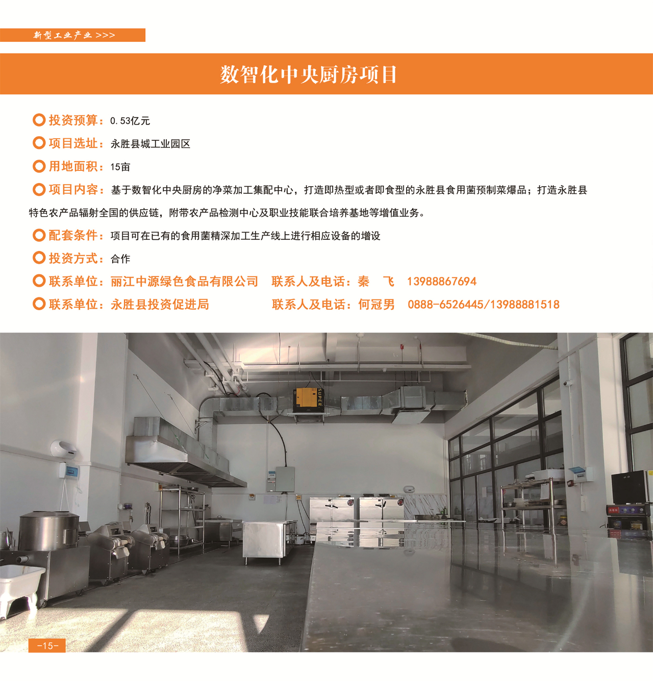 42个重点项目发布，“活力永胜”等您来！18.jpg