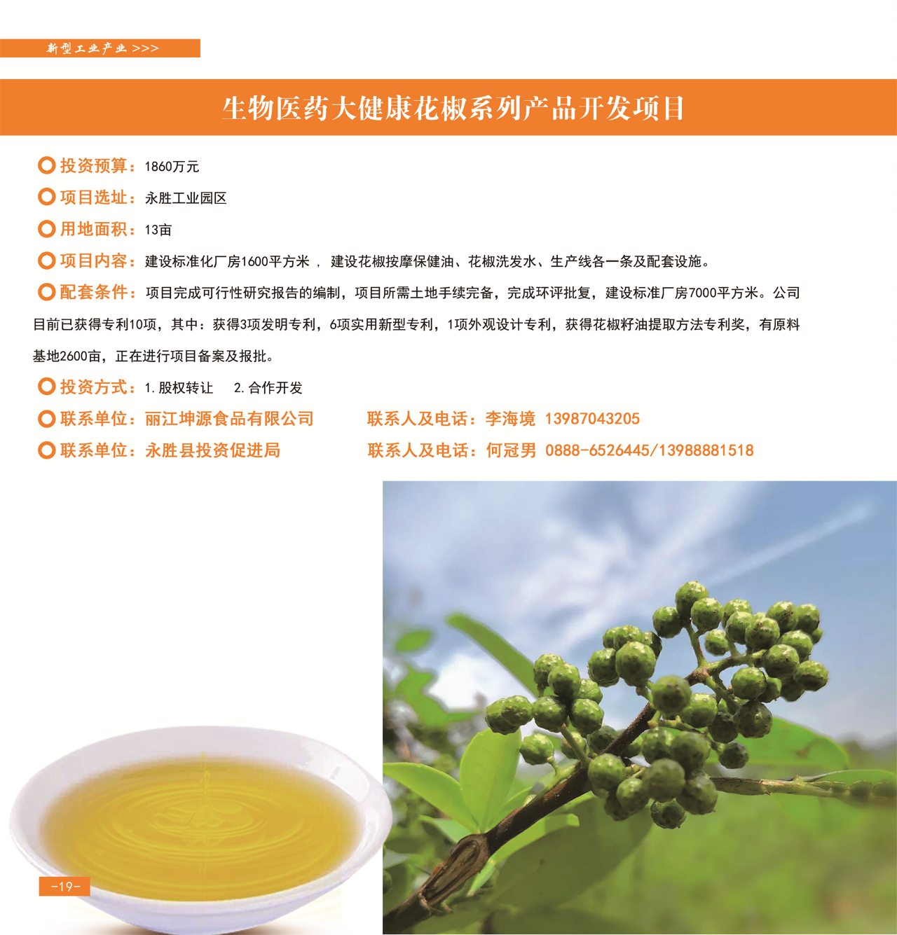 42个重点项目发布，“活力永胜”等您来！22.jpg
