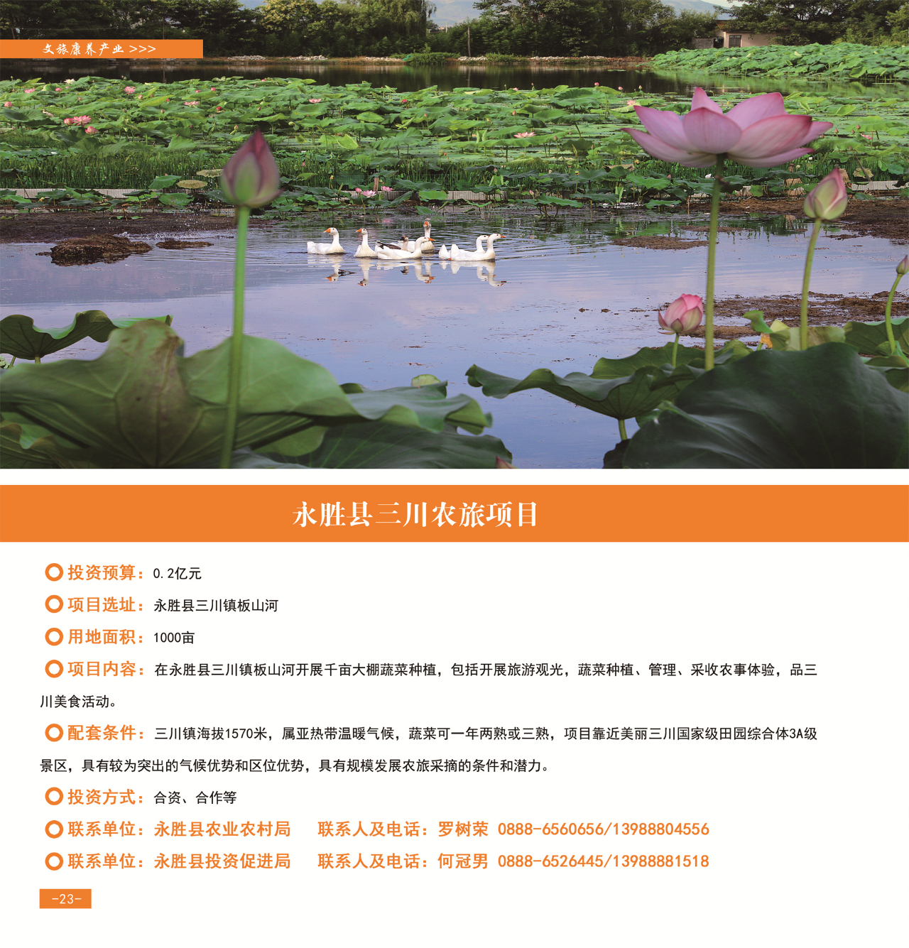 42个重点项目发布，“活力永胜”等您来！26.jpg