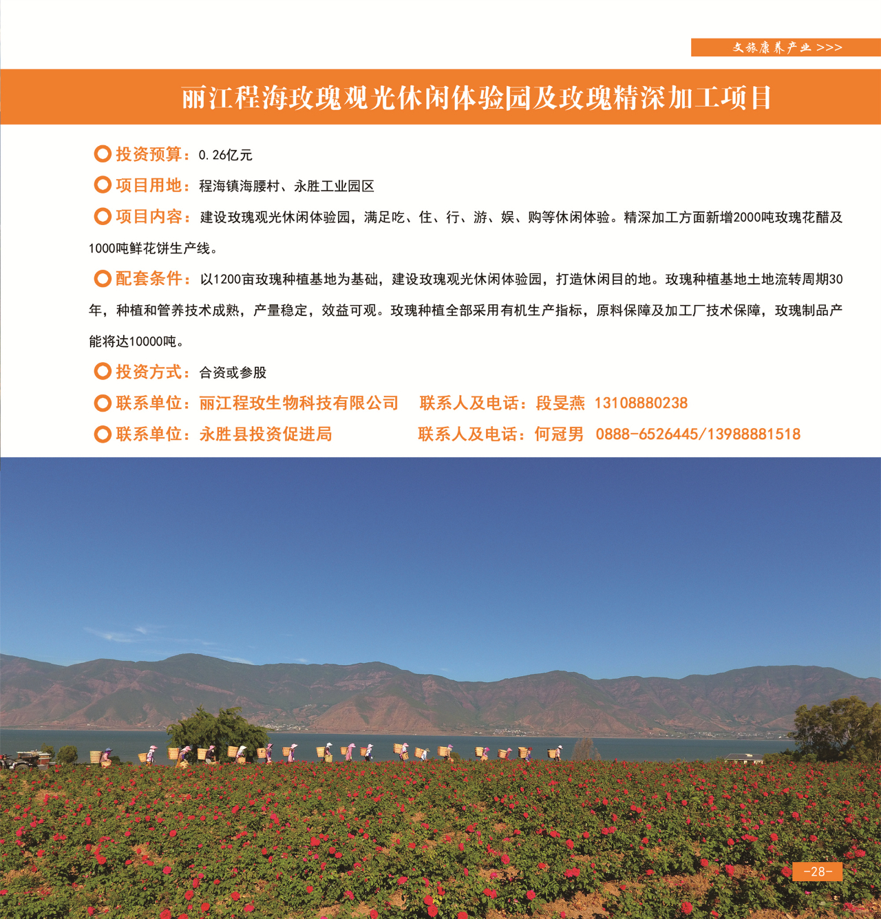 42个重点项目发布，“活力永胜”等您来！31.jpg