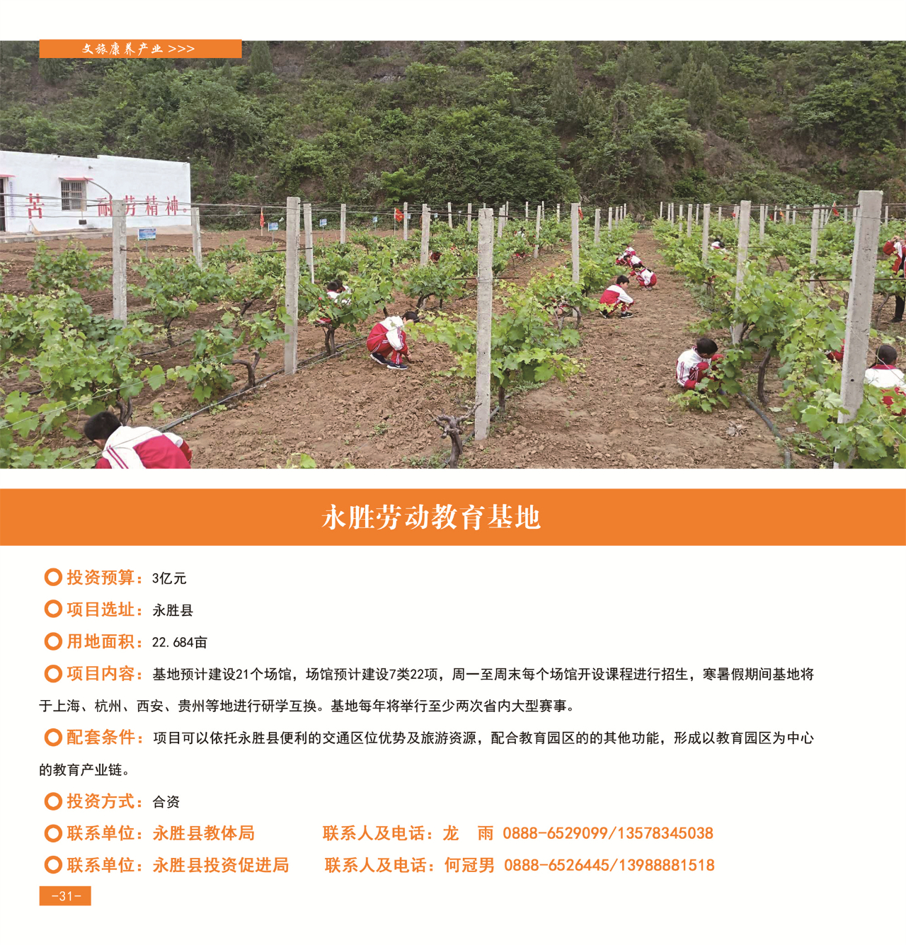 42个重点项目发布，“活力永胜”等您来！35.jpg