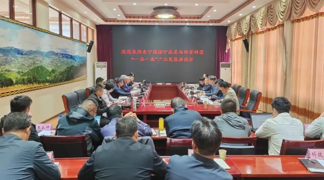 英茂集团与宁蒗县商榷马铃薯种薯“一县一业”产业发展.png