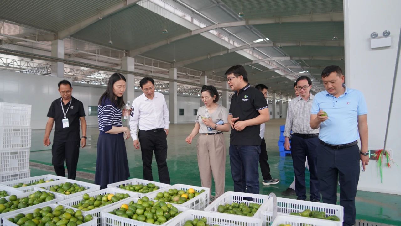 上海市地方志办公室到永胜县调研开展资料征补工作.jpg