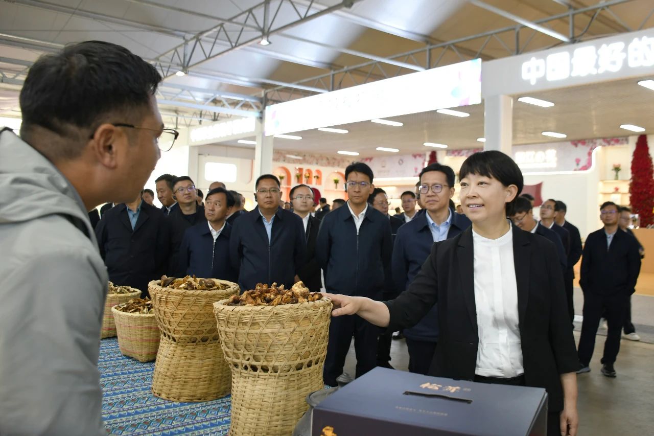 丽江市委市政府举行重大项目重点产业重要工作古城现场推进会1.jpg