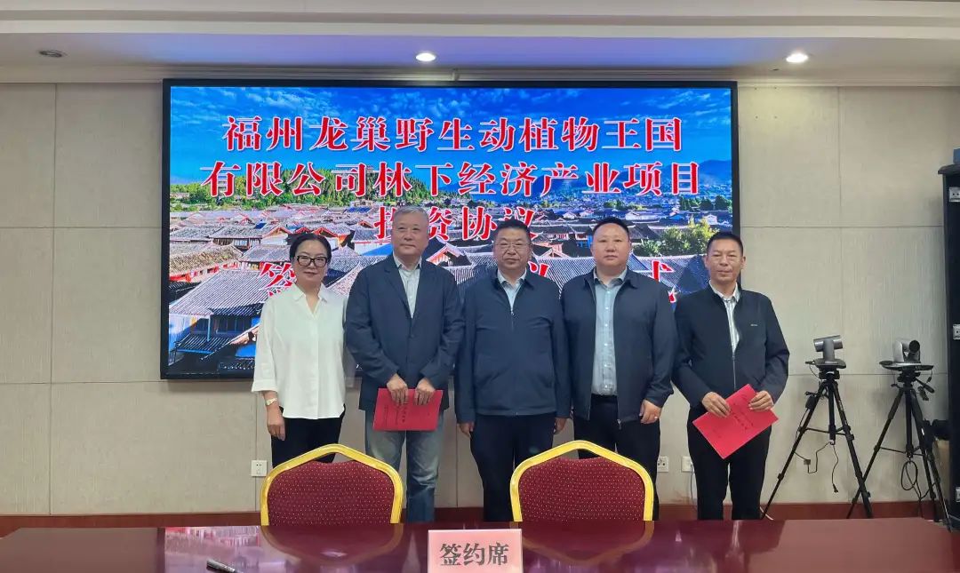 古城区与福州龙巢签约，2亿元打造5000亩林下经济产业项目01.jpg