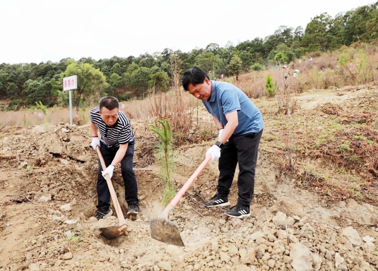 华坪县四班子领导带头开展2024年义务植树活动01.jpg