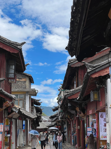 玉龙雪山毕业旅行.png