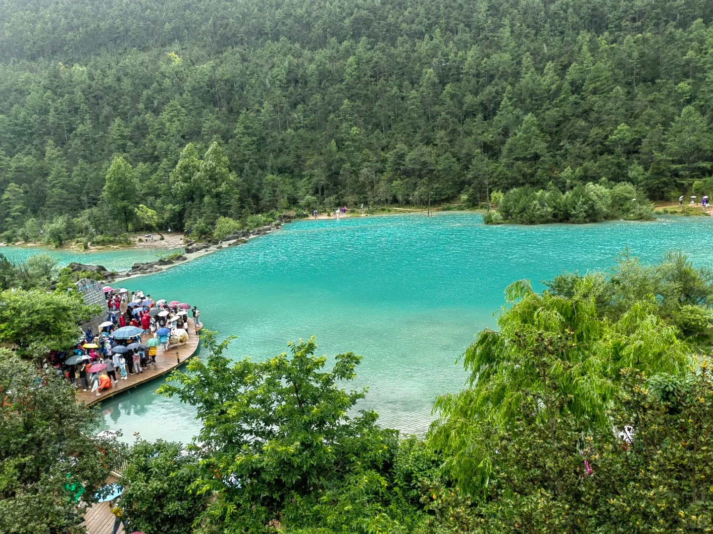 玉龙雪山玩法多，别只盯着大索道，蓝月谷云杉坪也很美04 (1).jpg