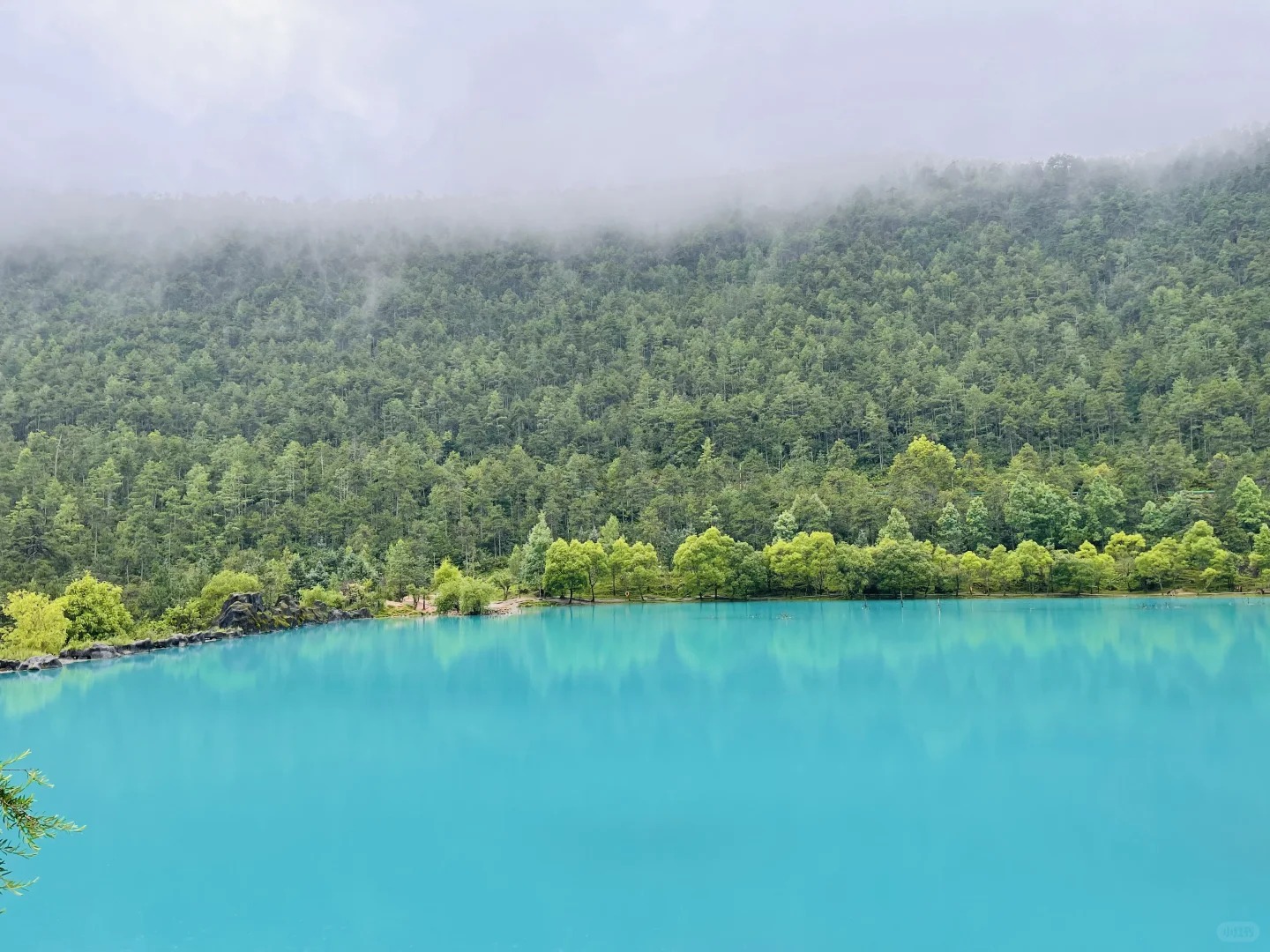 玉龙雪山玩法多，别只盯着大索道，蓝月谷云杉坪也很美04.jpg