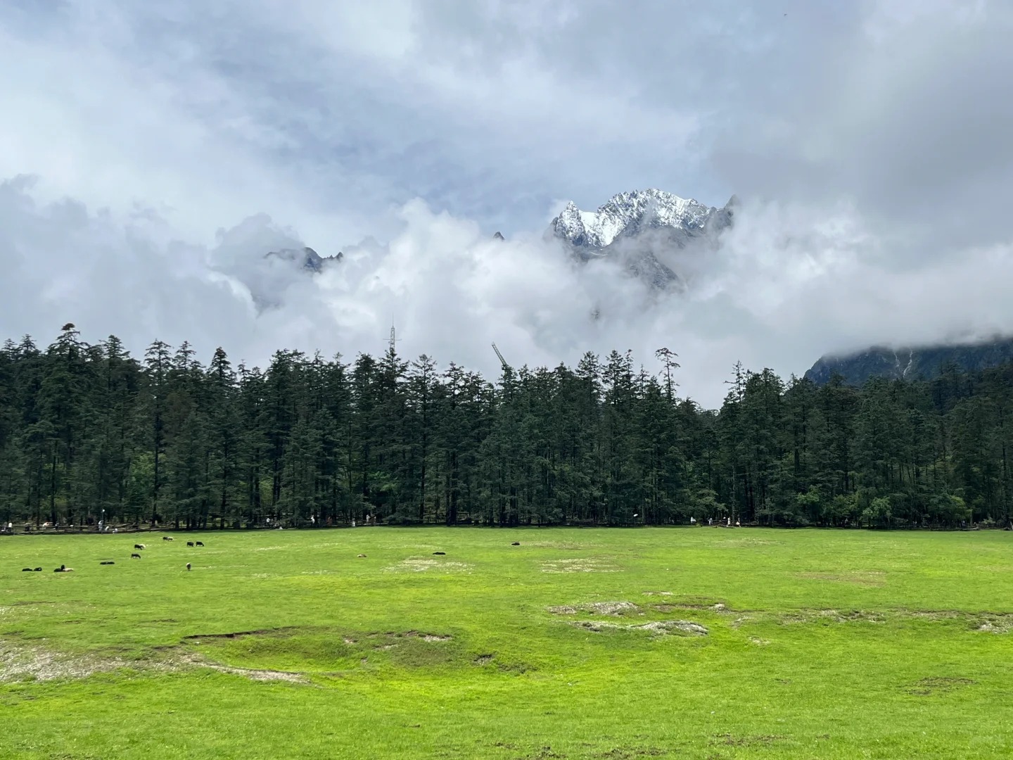 玉龙雪山玩法多，别只盯着大索道，蓝月谷云杉坪也很美06.jpg