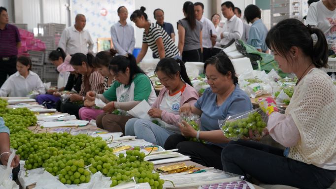 全市“绿色金沙江党建长廊”建设现场会暨基层党建工作推进会在永胜县召开3.jpg