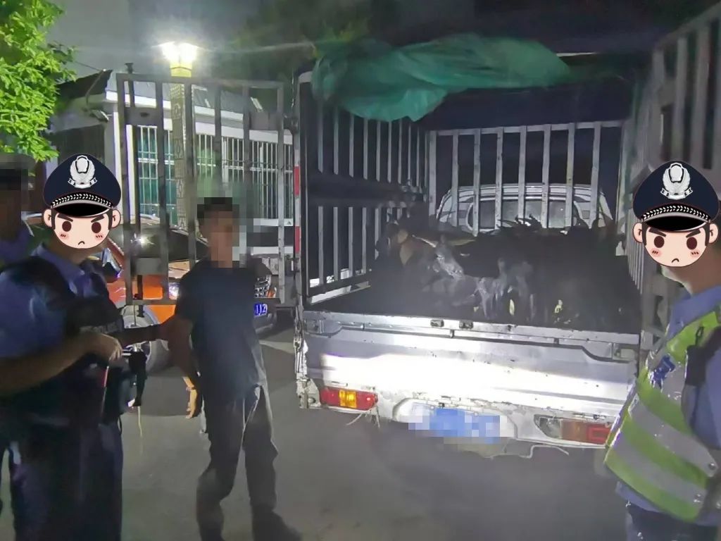 抓获3人！华坪警方破获多起盗窃案01.jpg