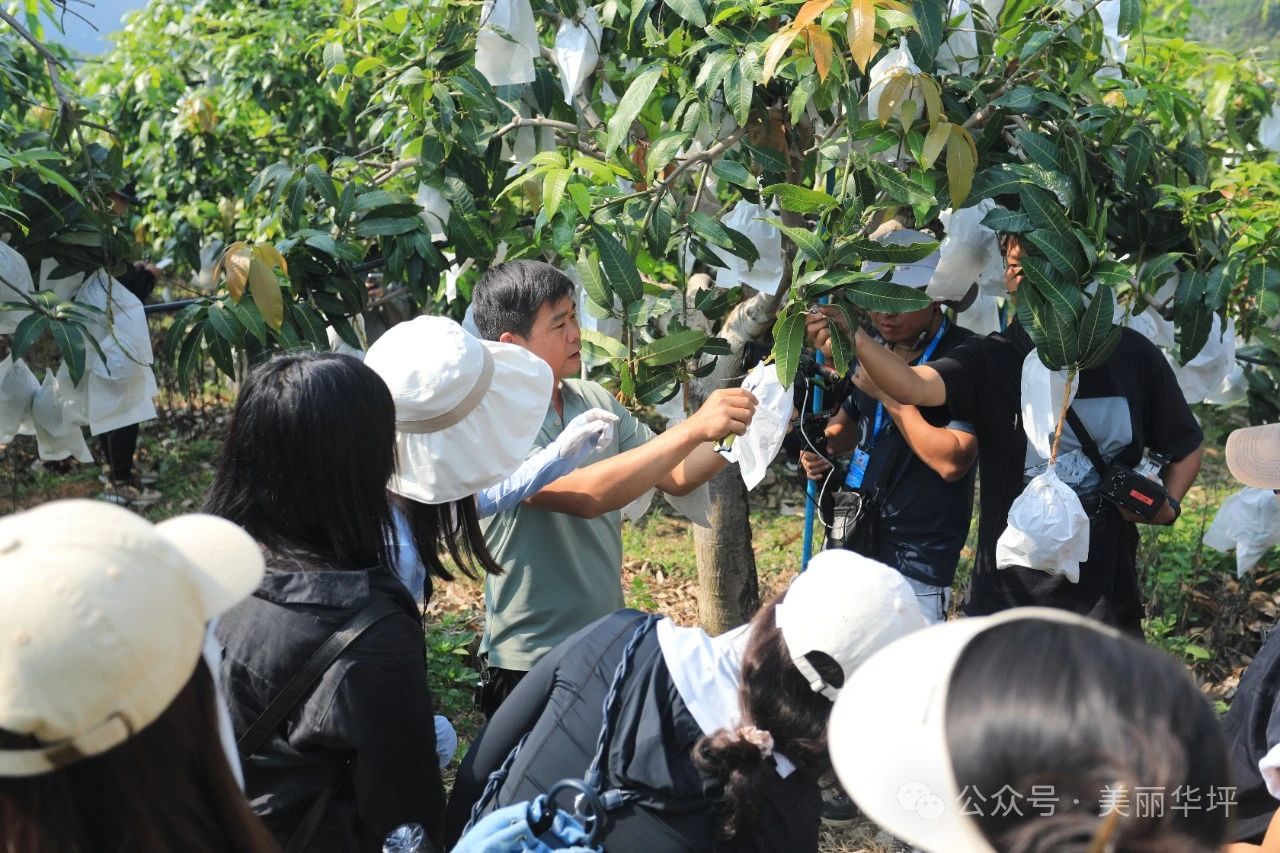 央视一套大型文旅探访节目《山水间的家》走进华坪县！01.jpg