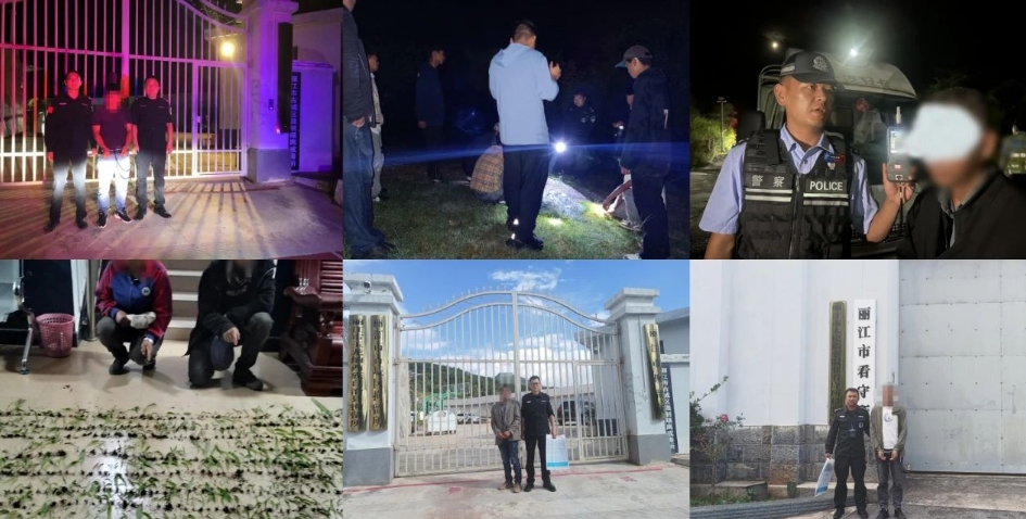 玉龙公安抓获违法犯罪嫌疑人32人.png
