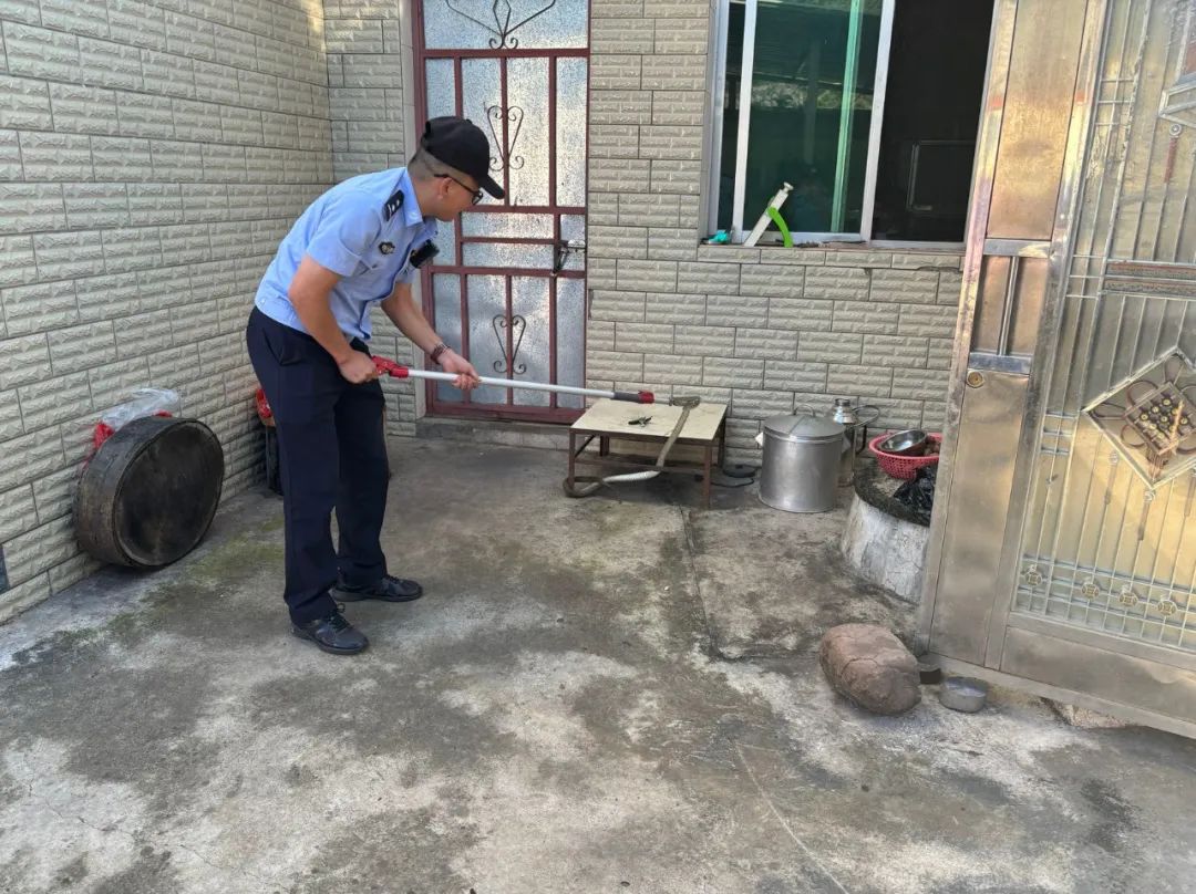 蛇出没！丽江警方化身“天命捕蛇人”01.jpg