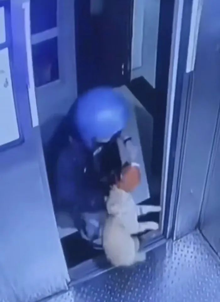 外卖员从26楼将流浪猫扔下摔死！律师：或涉高空抛物罪01.jpg
