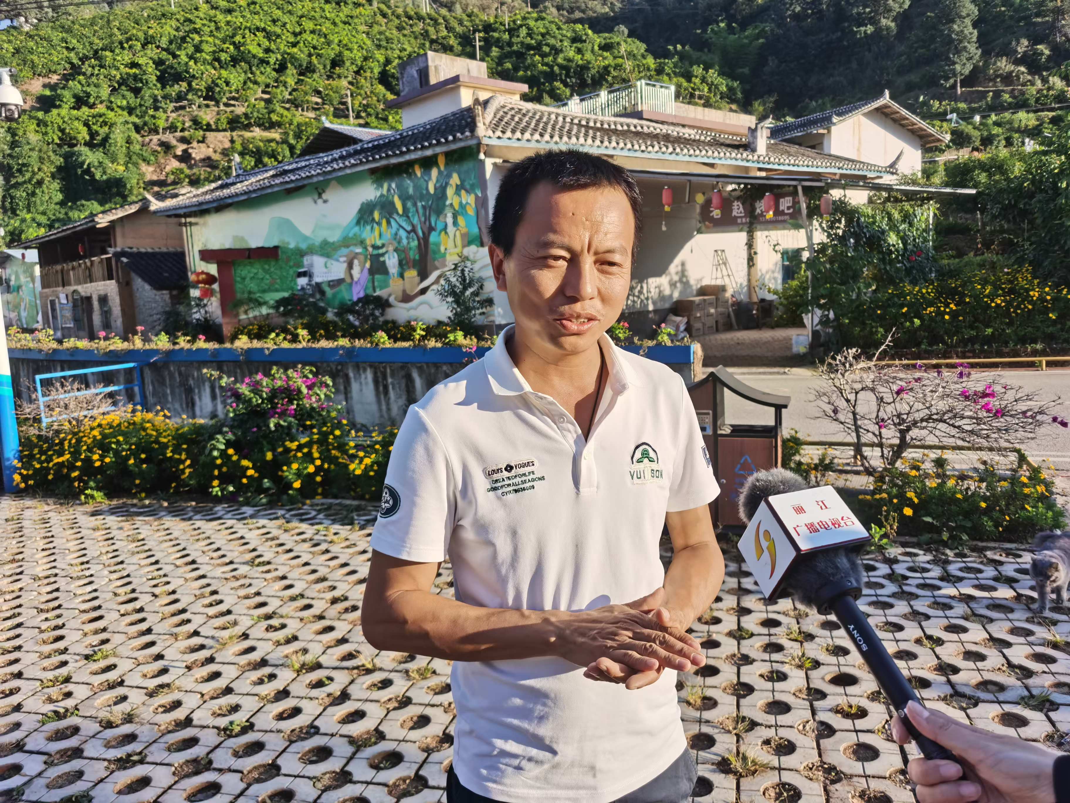绿水青山变金山银山：华坪县乡村振兴与电商的双赢之路2.jpg