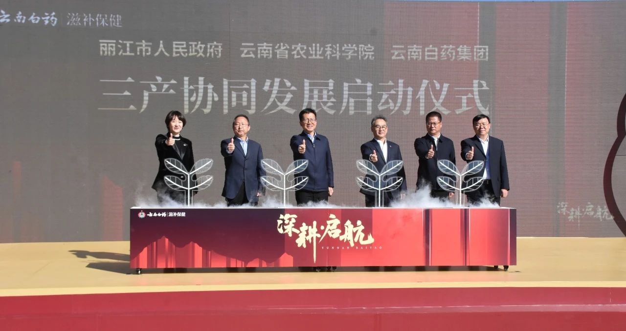 云南白药滋补保健“深耕·启航”发布会在丽举行1.jpg