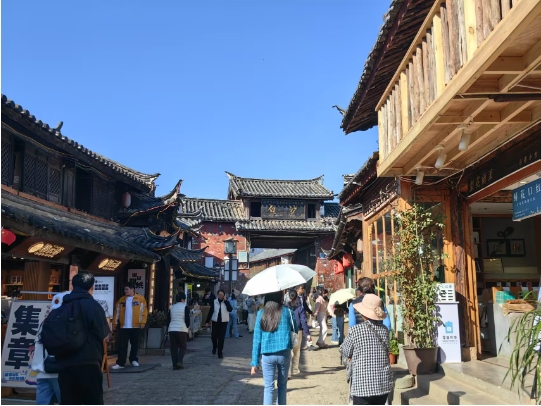 专家学者齐聚丽江古城，开展“世界遗产城市可持续发展”考察调研4.png