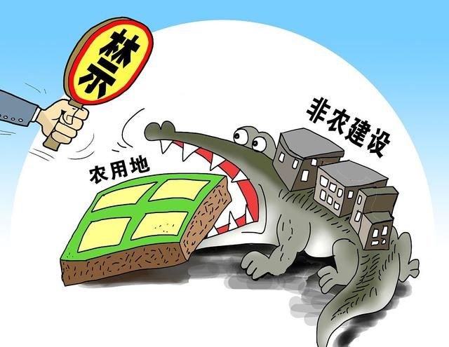 云南通报10起非法占用农用地案例，丽江有1例.jpg