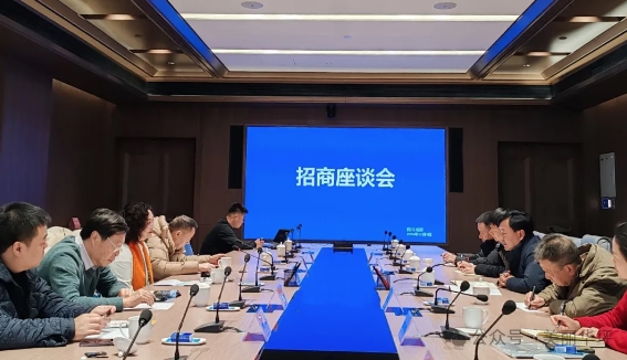 王峥率队赴成都市开展招商考察.png