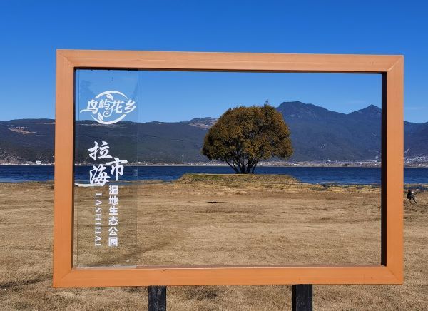拉市海田园综合体新探索：智慧管理，沉浸式体验，助力文旅升级1.jpg