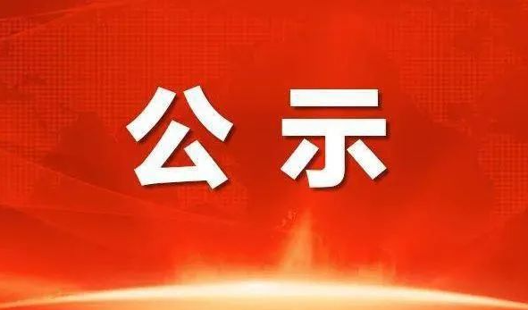 公示.png