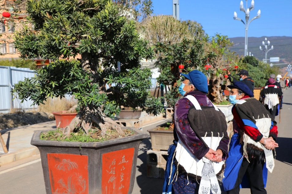 春节嗨翻天，中济海公园N种玩法等你来解锁！5.jpg