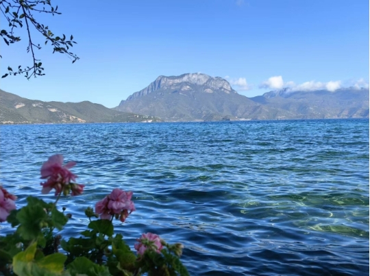 注意！1月27日，丽江泸沽湖景区暂停对外开放.png