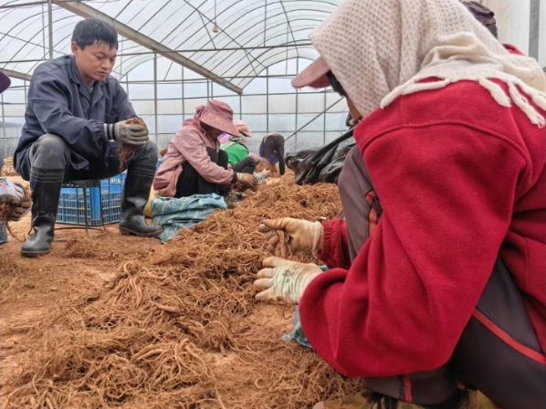2024年丽江市实现地区生产总值710.03亿元，同比增长4.7%.png