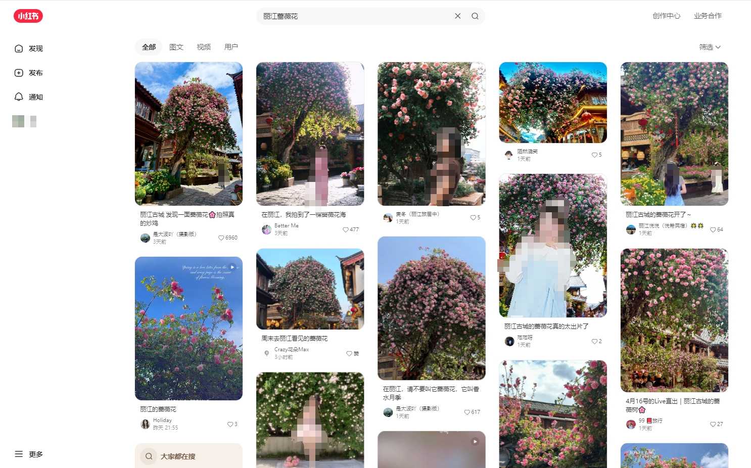 丽江古城蔷薇花盛开成“网红”，游客争相打卡“人生照片”1.jpeg