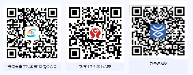 2025年丽江城乡养老保险缴费开始！18档可选，最高补贴240元！2.png