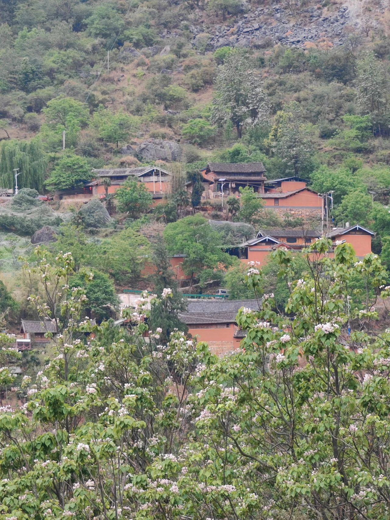 解锁丽江文旅新密码！“一眼丽江”项目座谈会勾勒乡村振兴蓝图2.jpg