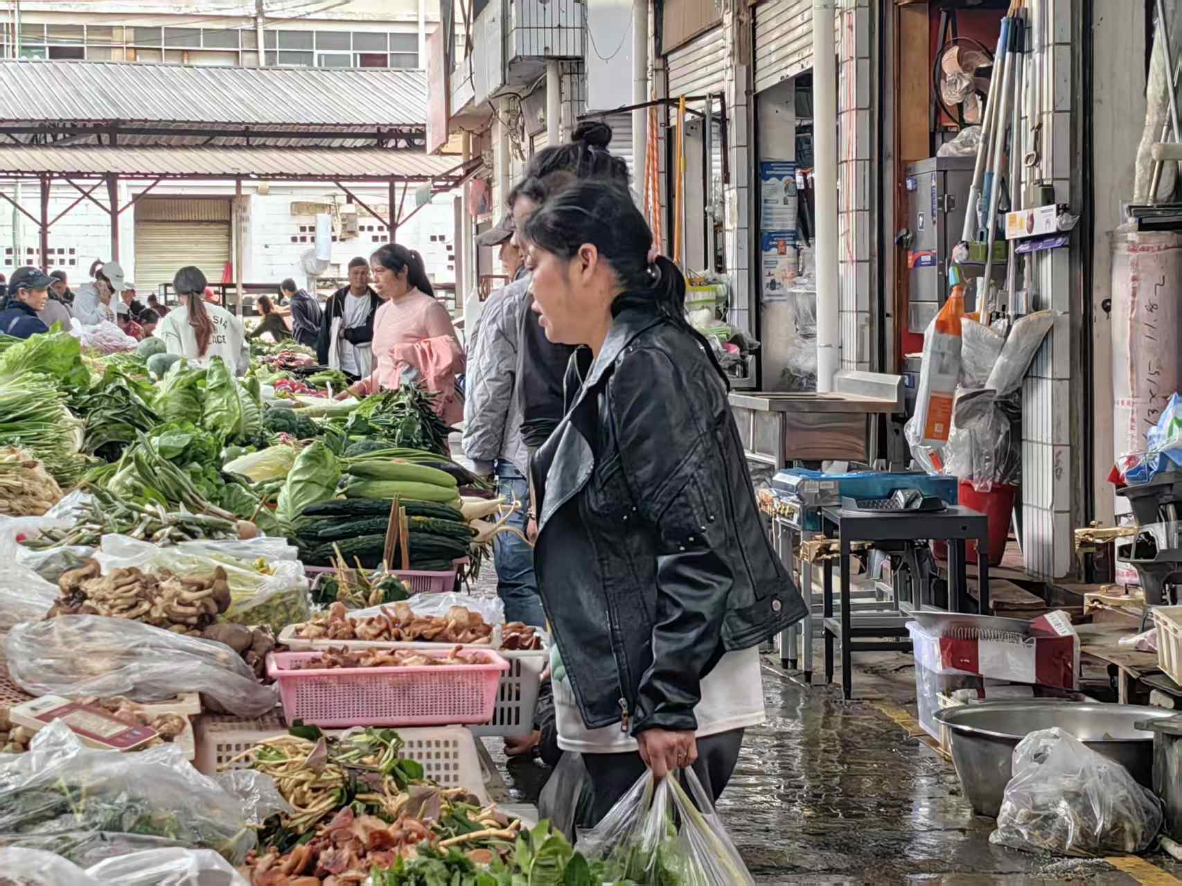 丽江“吃菌季”开启，“头波菌”已上市3.jpeg