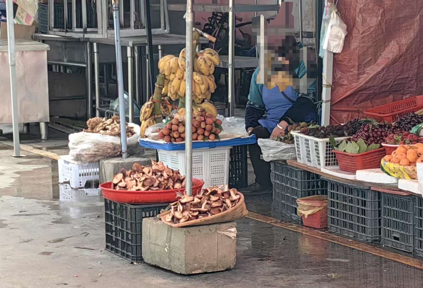 丽江“吃菌季”开启，“头波菌”已上市4.jpeg