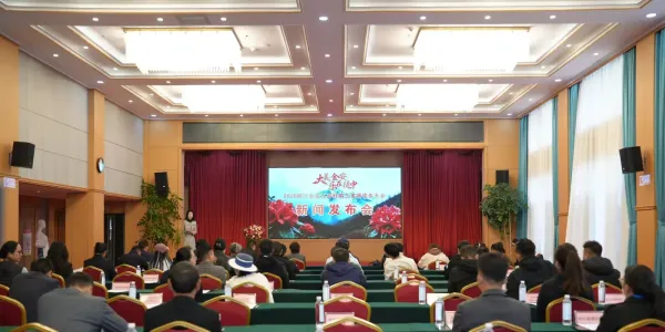 杜鹃漫山，古道行徒！丽江金安邀你来！