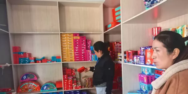 守护群众“平安年”！玉龙县完成112家烟花爆竹销售点安全审查